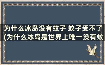 为什么冰岛没有蚊子 蚊子受不了(为什么冰岛是世界上唯一没有蚊子的国家)